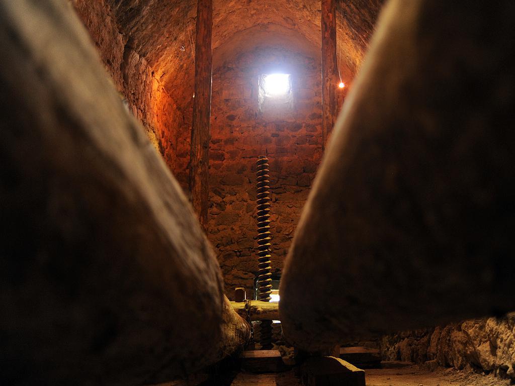 festival_v_tateve_i_ovtsy_tsely_i_kover_sotkan - рис.16 festival_v_tateve_i_ovtsy_tsely_i_kover_sotkan - рис.16