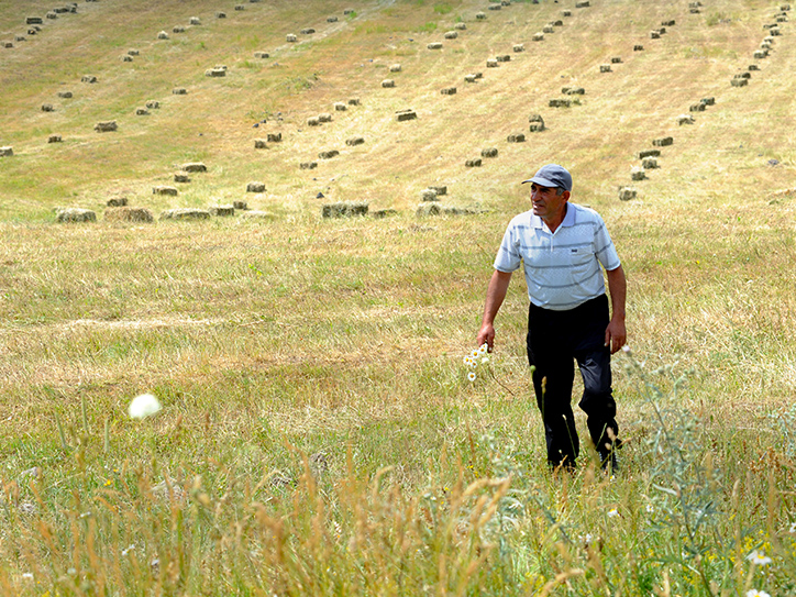 akba_kredit_agrikol_bank_rasskazal_ob_uspekhe_trudolyubivogo_fermera_iz_sela_atis - рис.2