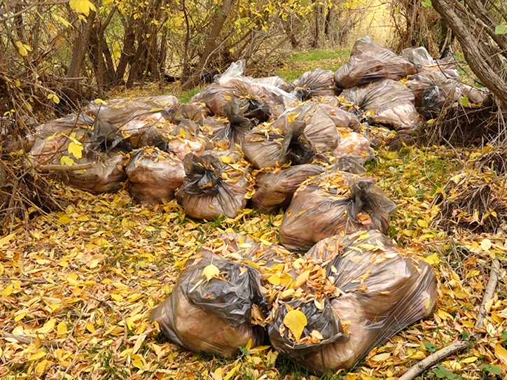 rossiyskie_pogranichniki_v_armenii_presekli_popytku_otpravki_krupnoy_partii_kontrabandy_foto - рис.1 rossiyskie_pogranichniki_v_armenii_presekli_popytku_otpravki_krupnoy_partii_kontrabandy_foto - рис.1