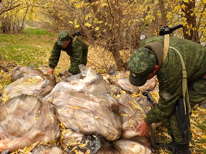 rossiyskie_pogranichniki_v_armenii_presekli_popytku_otpravki_krupnoy_partii_kontrabandy_foto - рис.2 rossiyskie_pogranichniki_v_armenii_presekli_popytku_otpravki_krupnoy_partii_kontrabandy_foto - рис.2