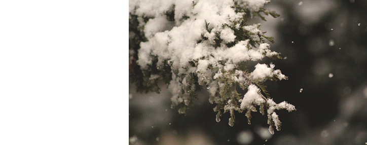 Ցուրտ եղանակն ու մառախուղը կպահպանվեն Երևանում և Արարատյան դաշտավայրում ևս մի քանի օր 