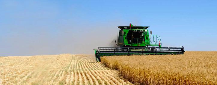 Армянские фермеры смогут получить льготные кредиты уже с марта