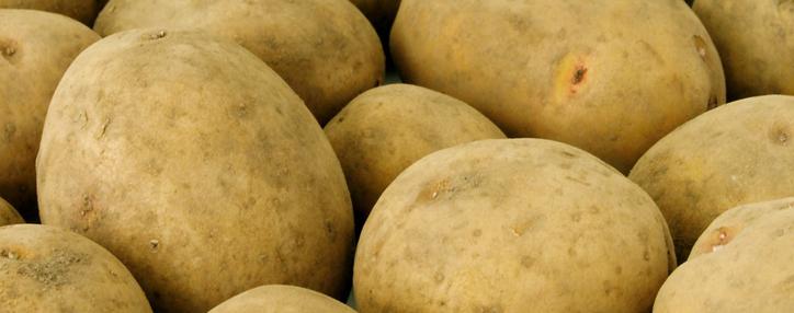 В январе-сентябре 2024 года Армения экспортировала 2500 тонн картофеля - министр