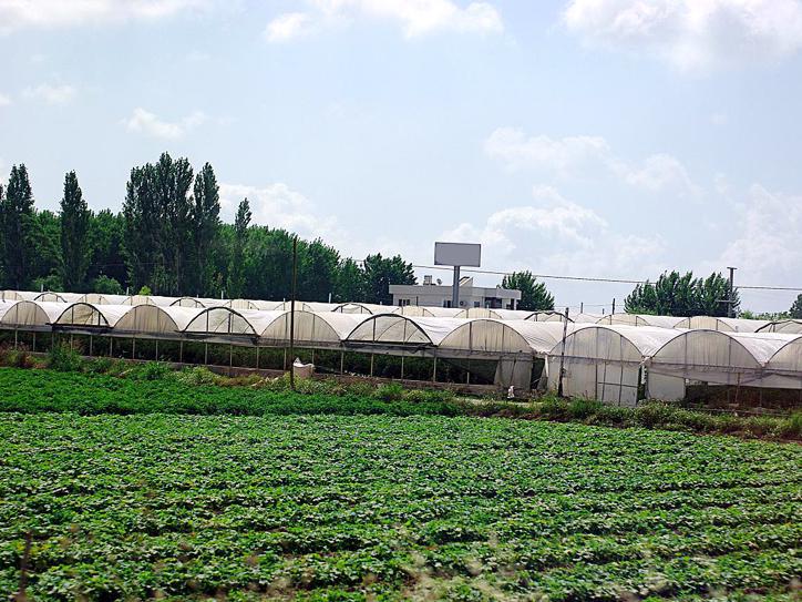 Experts discussing promotion of female farmers’ activities in Armenia