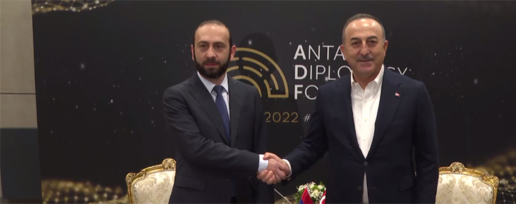 Мирзоян готов встретиться с Чавушоглу и надеется на ощутимый результат