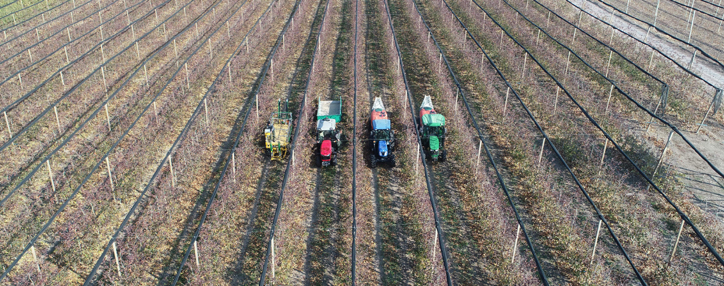 Суперинтенсивные и интенсивные сады основаны в Армении при содействии Акба Лизинг