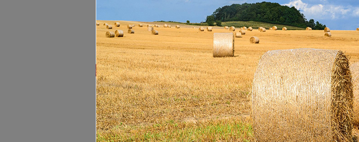 Министр Папикян назвал преимущества укрупнения общин Армении 