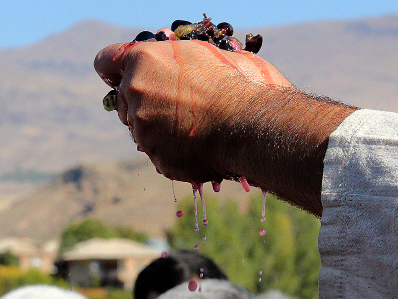 In Memory of Master: Best Snapshots by Samvel Sepetchyan-7