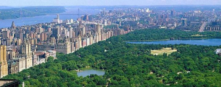 Согласно опросу Gallup, большинство американцев не против легализации марихуаны