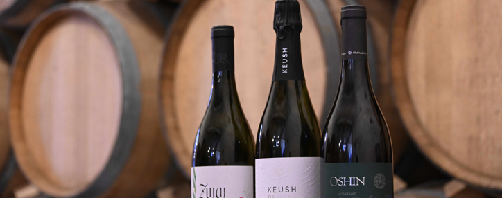 WineWorks: новое дыхание армянского виноделия (ВИДЕО)