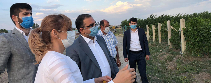 Хачатрян обсудил с представителями сферы виноградарства и виноделия планы и проблемы сферы