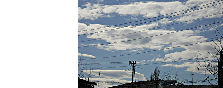 Стали известны последствия сильного ветра в Армении