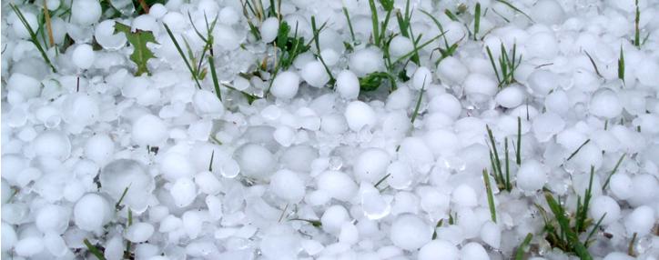 Губернатор Армавирской области поблагодарил руководство страны за помощь фермерам, пострадавшим от града