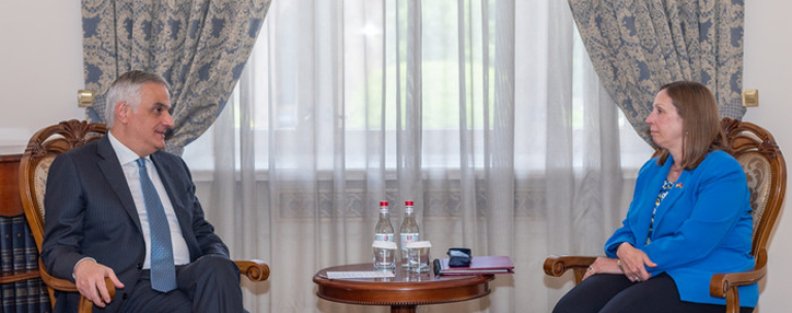 Вице премьер Армении обсудил с послом США реформы в полиции