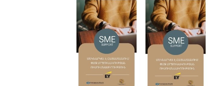 ЕБРР и Ernst & Young проведут исследование конкурентности малого и среднего Армении 