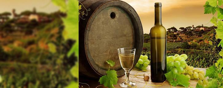 Роспотребнадзору отправят списки компаний, желающих поставлять РФ вина