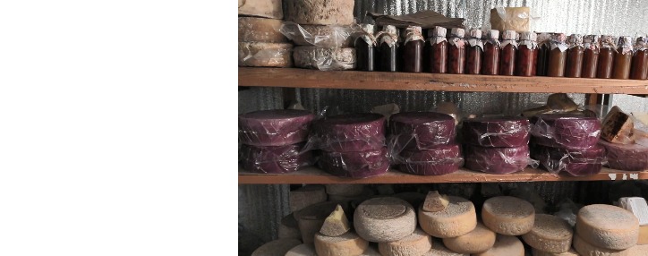 «Հարբած» պանիրներ. նոր ճյուղ հայկական բիզնեսում (ՎԻԴԵՈ)