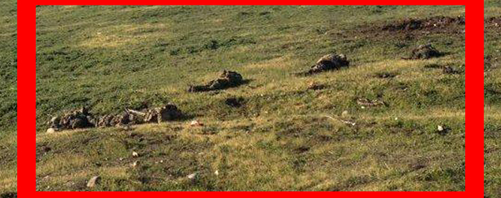 Азербайджанская армия осуществила в Карабахе беспрецедентно варварские действия, заведео уголовное дело