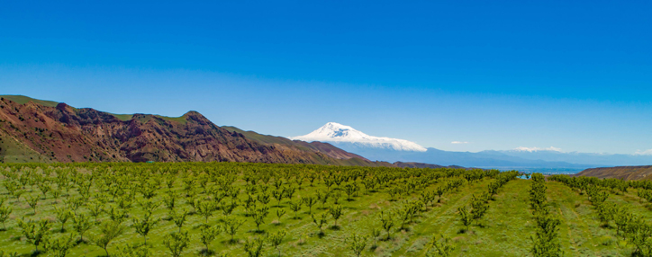 Технология, созданная армянским стартапом Revalcon, завоевывает мировые рынки (ВИДЕО)