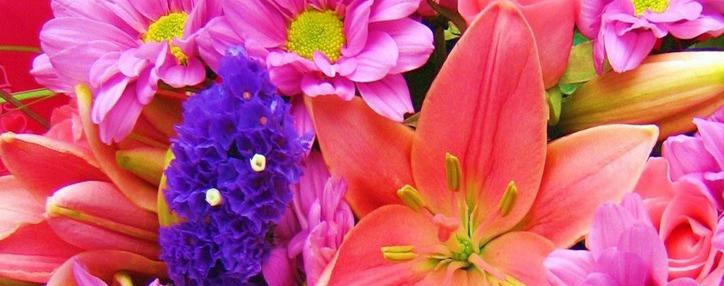 Более 3 миллионов цветов будет высажено в Ереване в 2015 году - мэрия