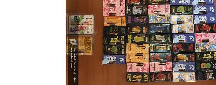 ՊԵԿ-ը կանխել է թմրանյութի մաքսանենգության հերթական դեպքը 