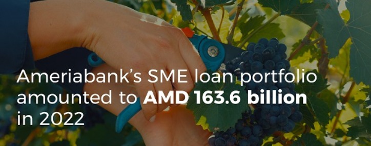 Кредитный портфель МСП Америабанка за пять лет вырос вдвое (ВИДЕО)