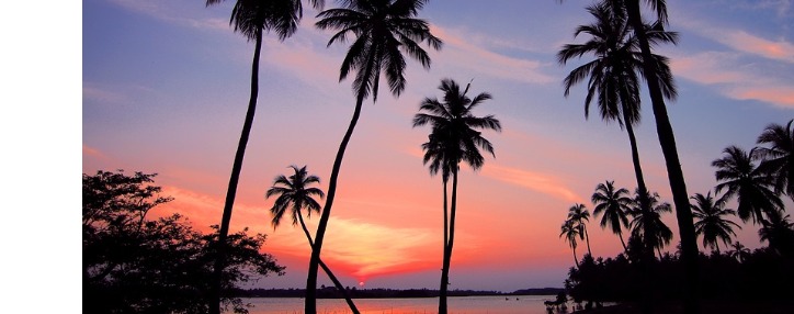 Դեսպան է նշանակվել Շրի Լանկայում և Նեպալում