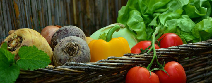 В США предупредили о назревающем продовольственном кризисе в мире 