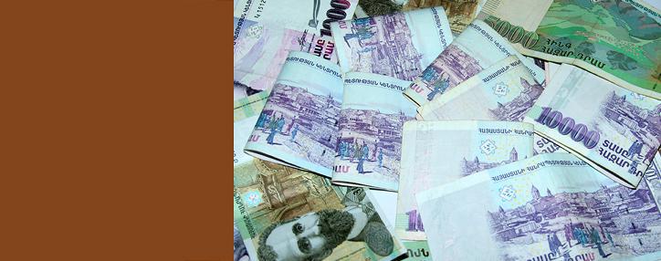 Правительство Армении выделило 875 млн. драмов на софинансирование субвенционных программ в областях