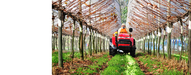 Новый тепличный комплекс будет построен в Армении, стоимость проекта - 48 млн. евро