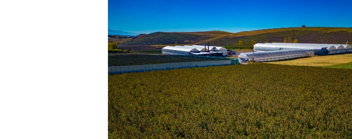 Կոտայքում հիմնադրվել է վերջին սերնդի գեոթերմալ հիդրոպոնիկ ջերմատուն (ՖՈՏՈ, ՎԻԴԵՈ)