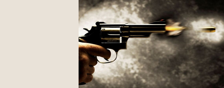 В Айрикяна стреляли из Нагана, обнаруженного у одного из задержанных – СНБ