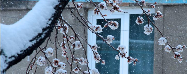 Потепление ожидается в Армении со 2-го апреля – Армгидрометцентр