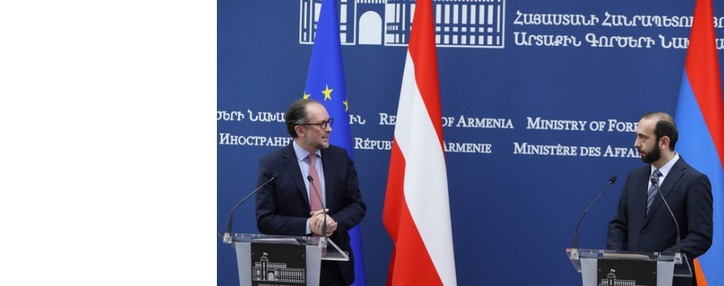 В Армении созданы благоприятные условия для австрийского бизнеса - глава МИД 