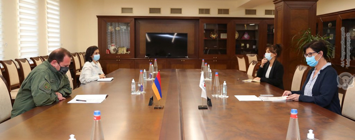 Тоноян назвал грубейшим нарушением международного права недопущение властями Азербайджана представителей МККК к армянскому офицеру