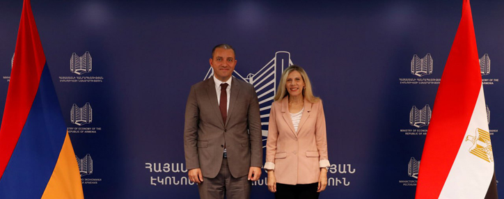 Армения и Египет считают строительство, здравоохранение и гелиоэнергетику перспективными направлениями сотрудничества