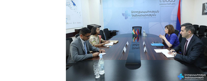 Армения может стать мостом для выхода Индии на фармацевтический рынок ЕАЭС