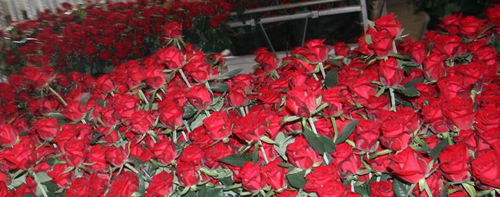 Police reveal evasion of  98 million drams in taxes