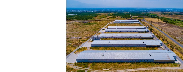 Հիմնվել է նորագույն տեխնոլոգիաներով հագեցված 4 նոր թռչնանոց (ՎԻԴԵՈ)