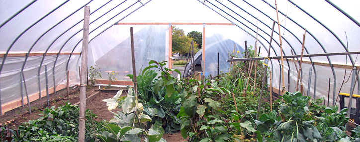 Первый всеобщий сельхозучет в Армении призван выявить тенденции изменения сельхозинфраструктуры в стране