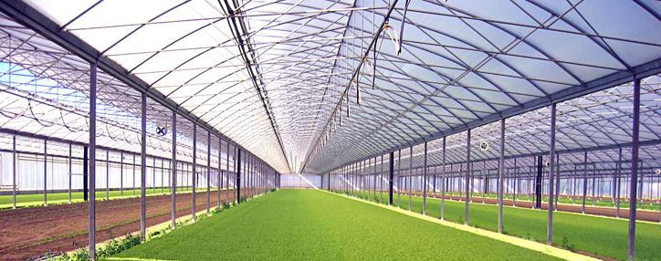 Армения расширила рамки программы агрострахования и включила в нее 11 культур