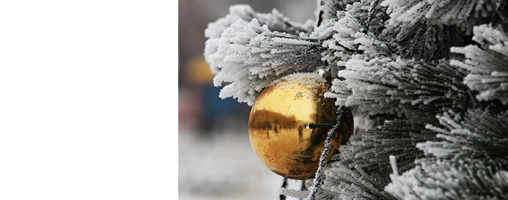 Սուրենյանը ներկայացրել է Ամանորի նախաշեմին հանրապետությունում սպասվող եղանակը