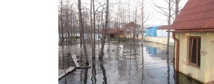 Озеро Севан вновь «зацвело», Минэкологии планирует закупку очистительной спецтехники 