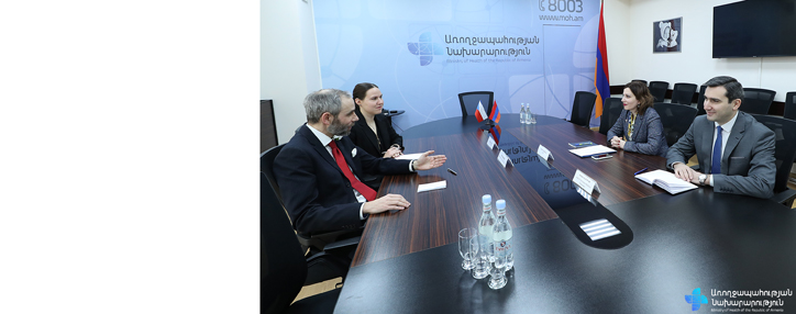 Армения и Чехия договорились расширить сотрудничество в сфере здравоохранения 