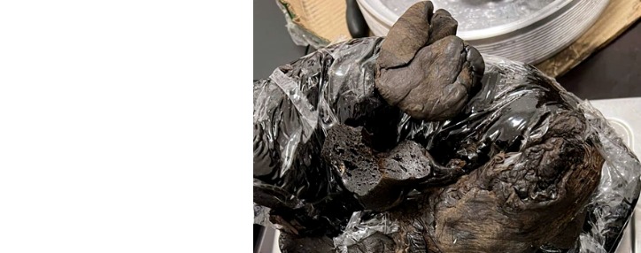 На армянской таможне обнаружили партию контрабандного опиума на $200 тыс. 