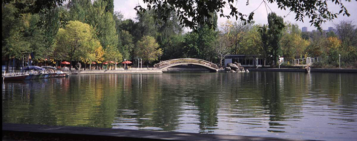 В Ереванском питомнике растений планируется выращивать по 5 тыс. деревьев в год