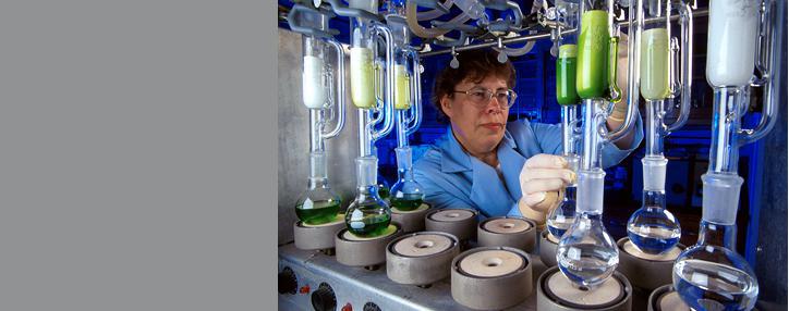 Лаборатория по синтезу лекарственного сырья будет создана в Ереване