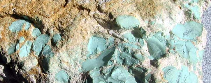 Армения полностью пересмотрит систему роялти, поступления госбюджета возрастут на 100 млрд. драмов – Керобян 