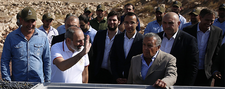 Пашинян обсудил с Эрнекяном развитие виноделия, расширение инвестдеятельности и программы концессионного управления