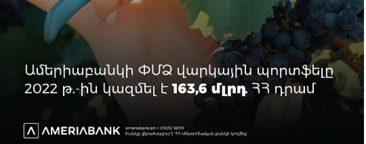 Ամերիաբանկի ՓՄՁ վարկային պորտֆելը hինգ տարում գրանցել է կրկնակի աճ (ՎԻԴԵՈ)